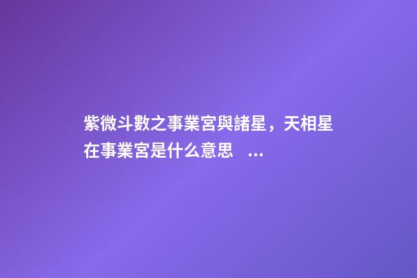 紫微斗數之事業宮與諸星，天相星在事業宮是什么意思？